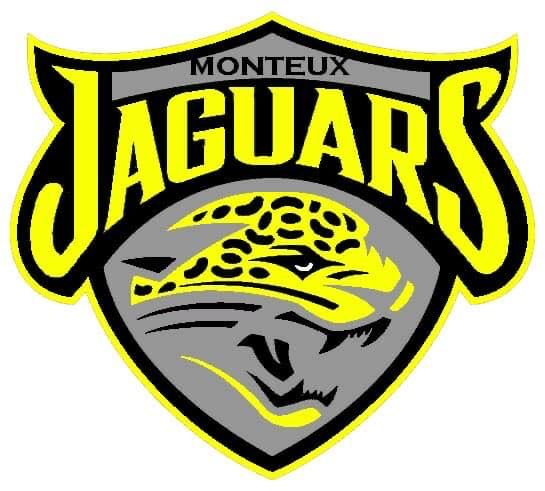 motoball_jaguars.jpg