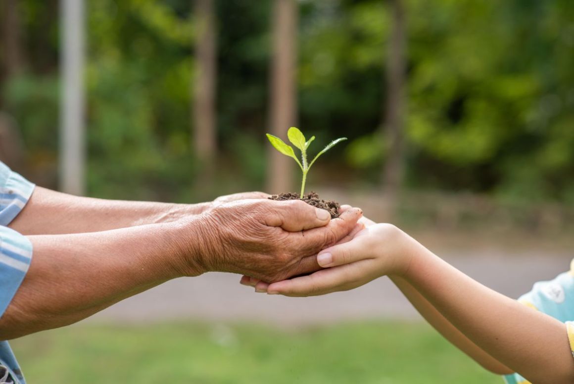 photo de 2elderly-person-and-children-holding-plant